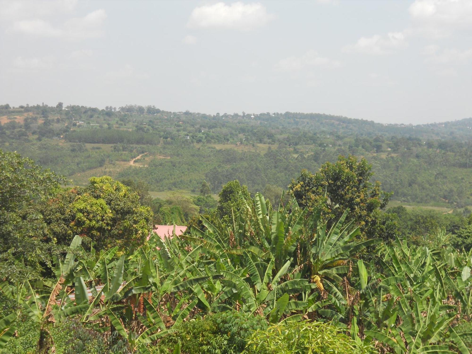 Masaka Backpackers, Tourists Cottage & Campsite Buitenkant foto
